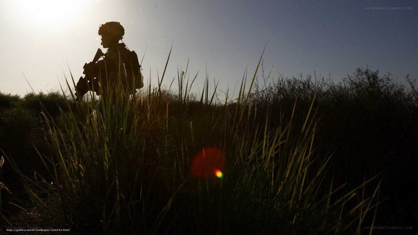 Soldier silhouette in tall grass
