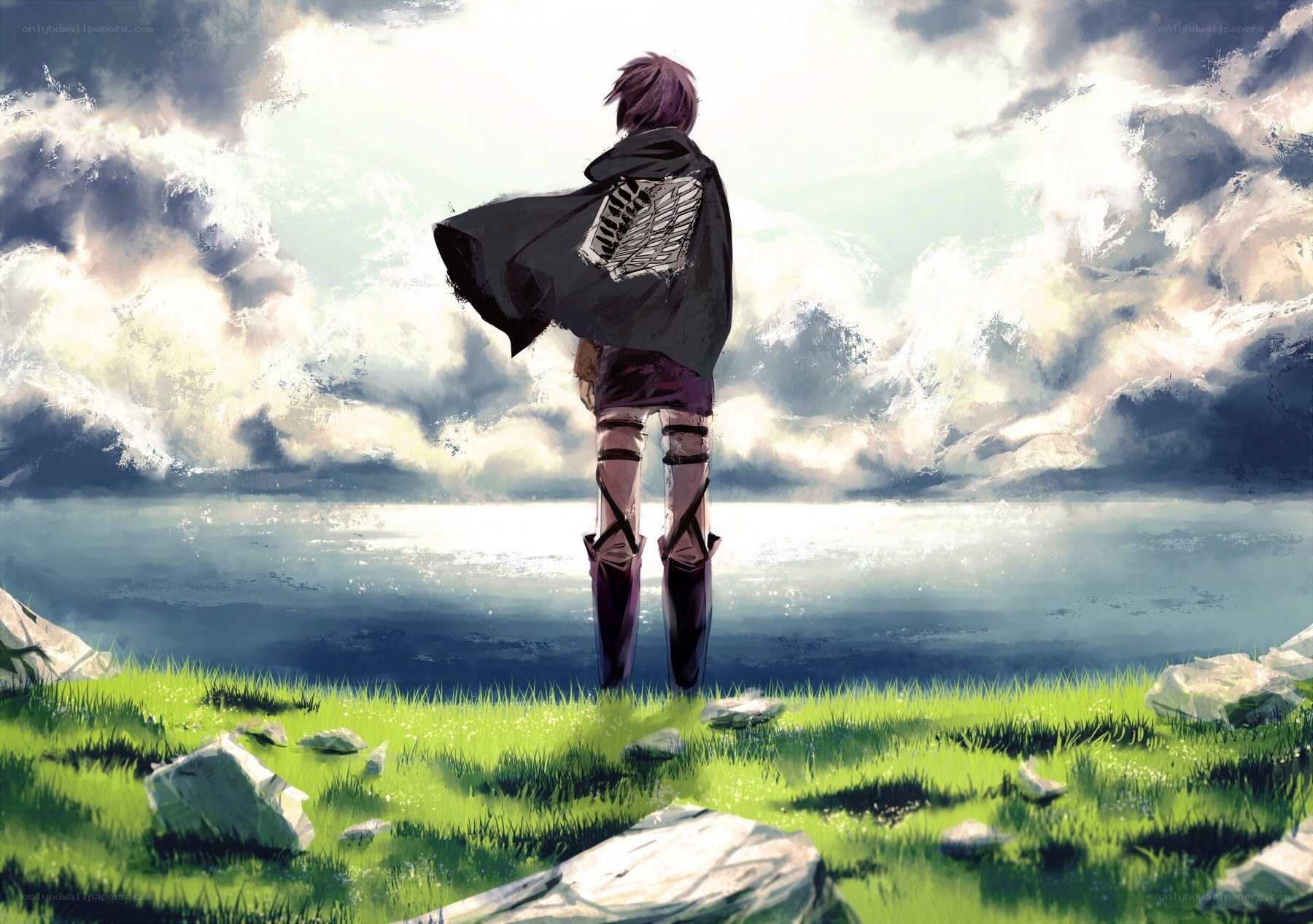 soldier stands on a cliff