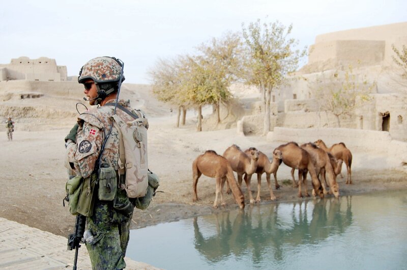 Soldier watches camels drink water