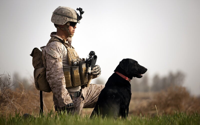 Soldier with Black Dog — Brown, Alert