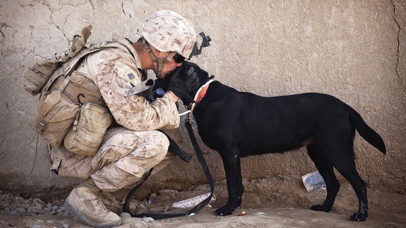 Soldier with Black Dog — Brown, Serious