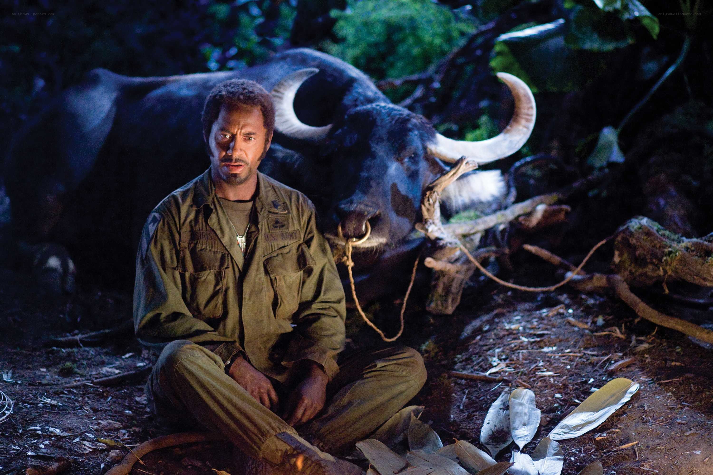 Soldier with buffalo in jungle