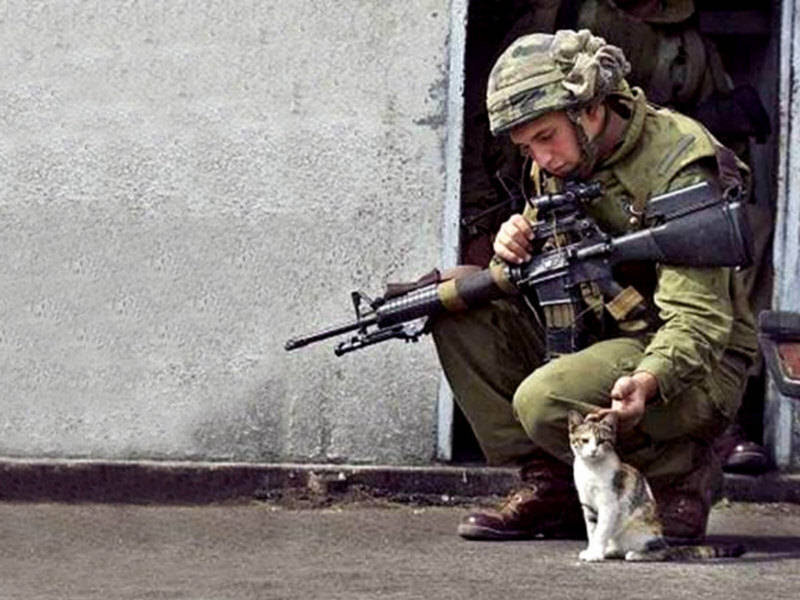 Soldier with Cat