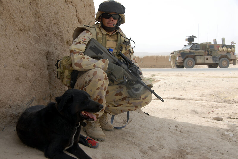 Soldier with dog in desert