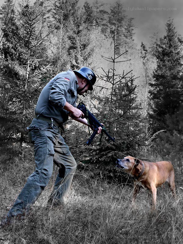 Soldier with dog in forest