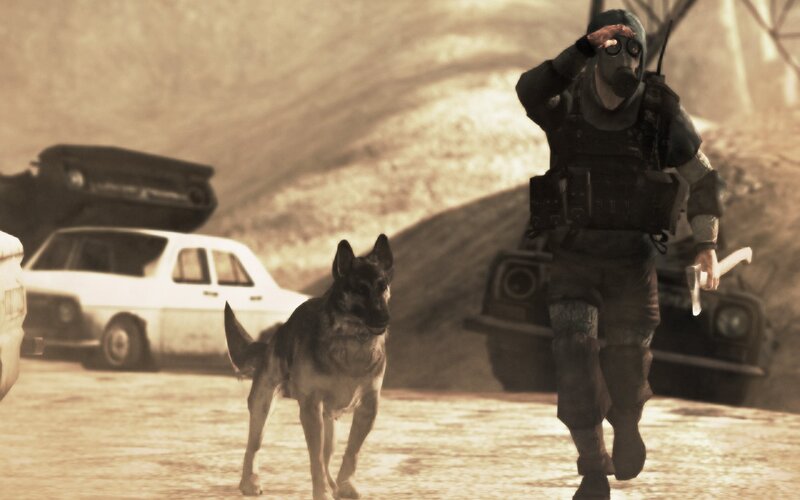 soldier with dog in wasteland
