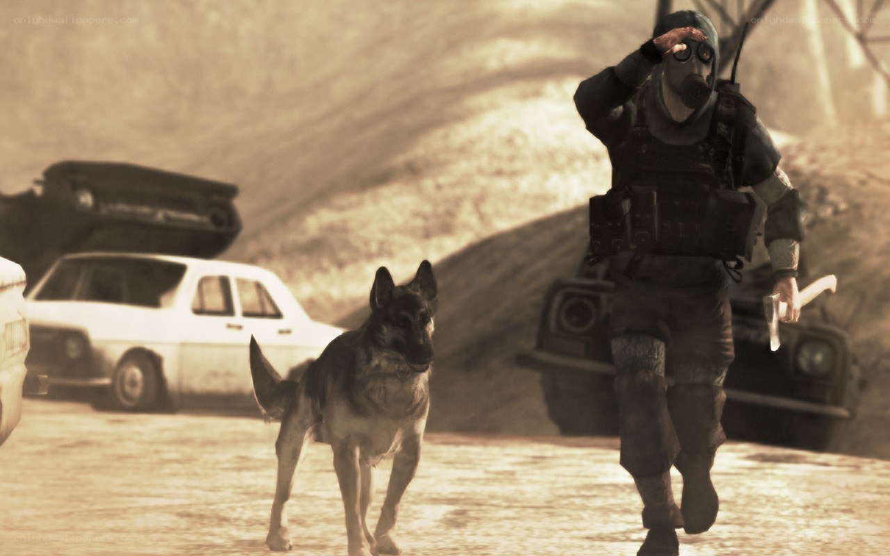 soldier with dog in wasteland