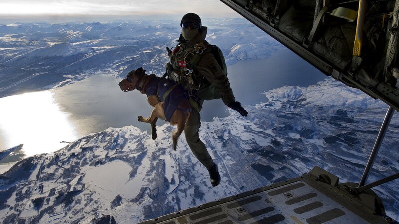 Soldier with Dog Jumping