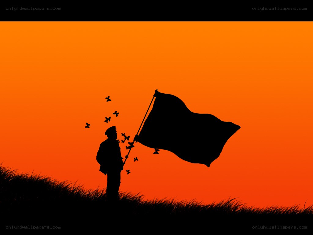 Soldier with flag at sunset
