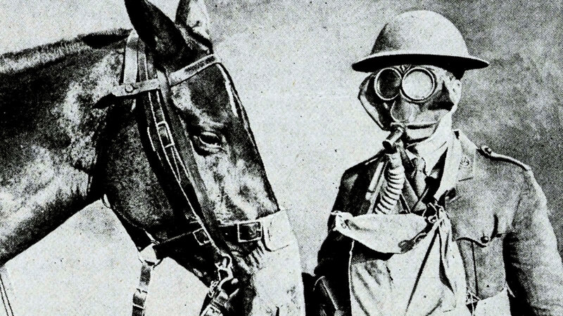 Soldier with gas mask and horse