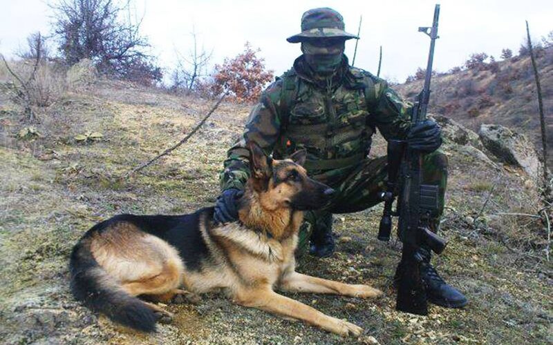 Soldier with German Shepherd
