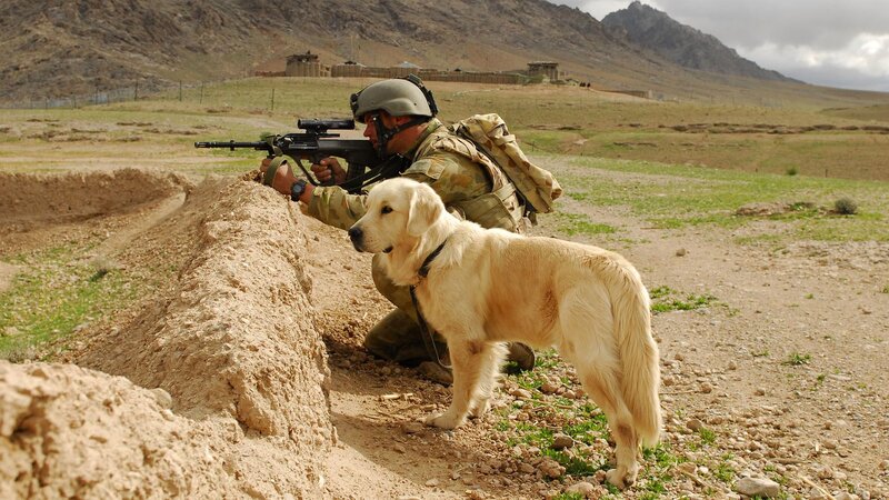 Soldier with Golden Retriever — Brown