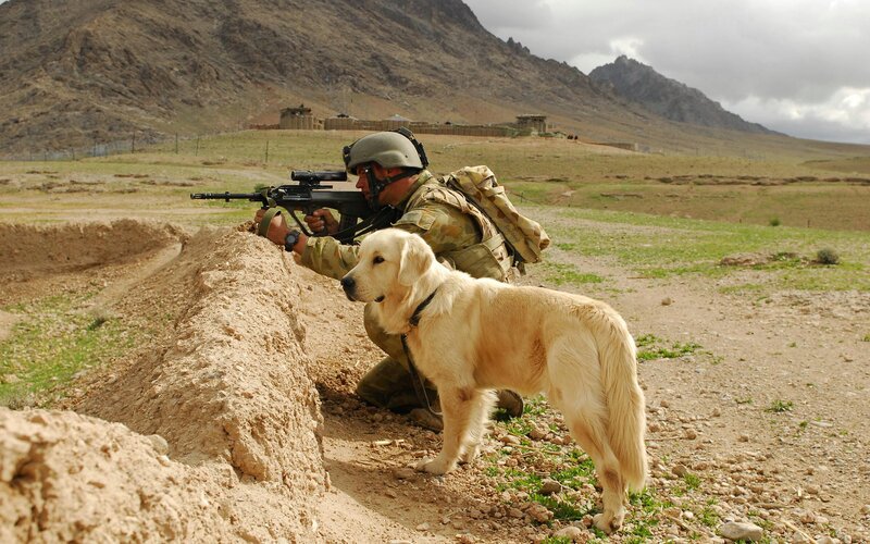 Soldier with Golden Retriever