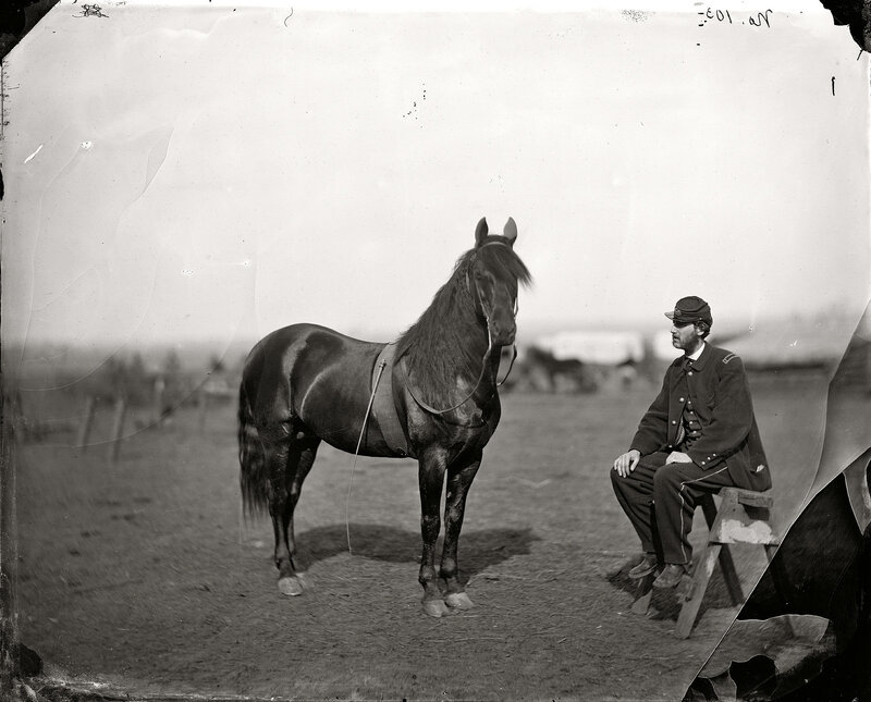 Soldier with horse in field