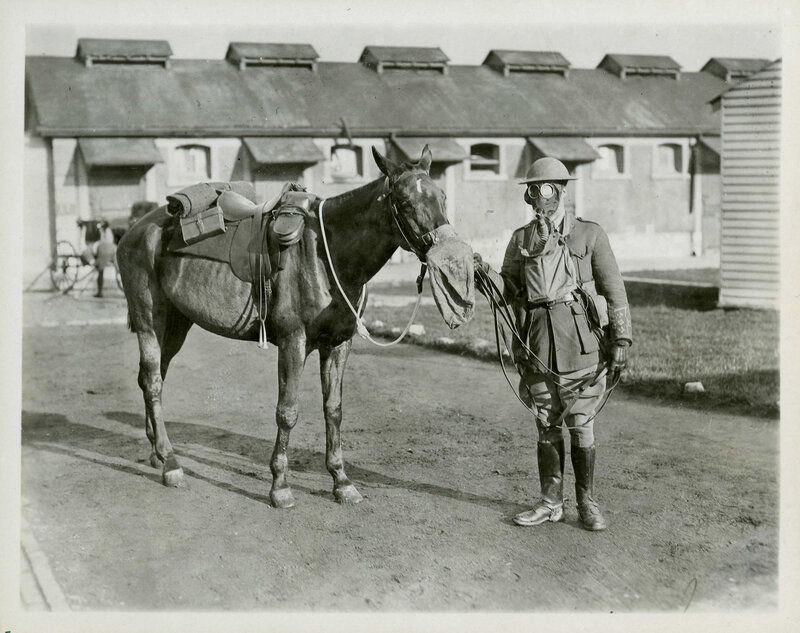 Soldier with horse in gas mask