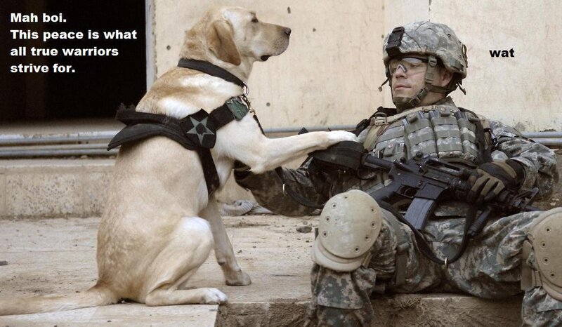 soldier with military dog