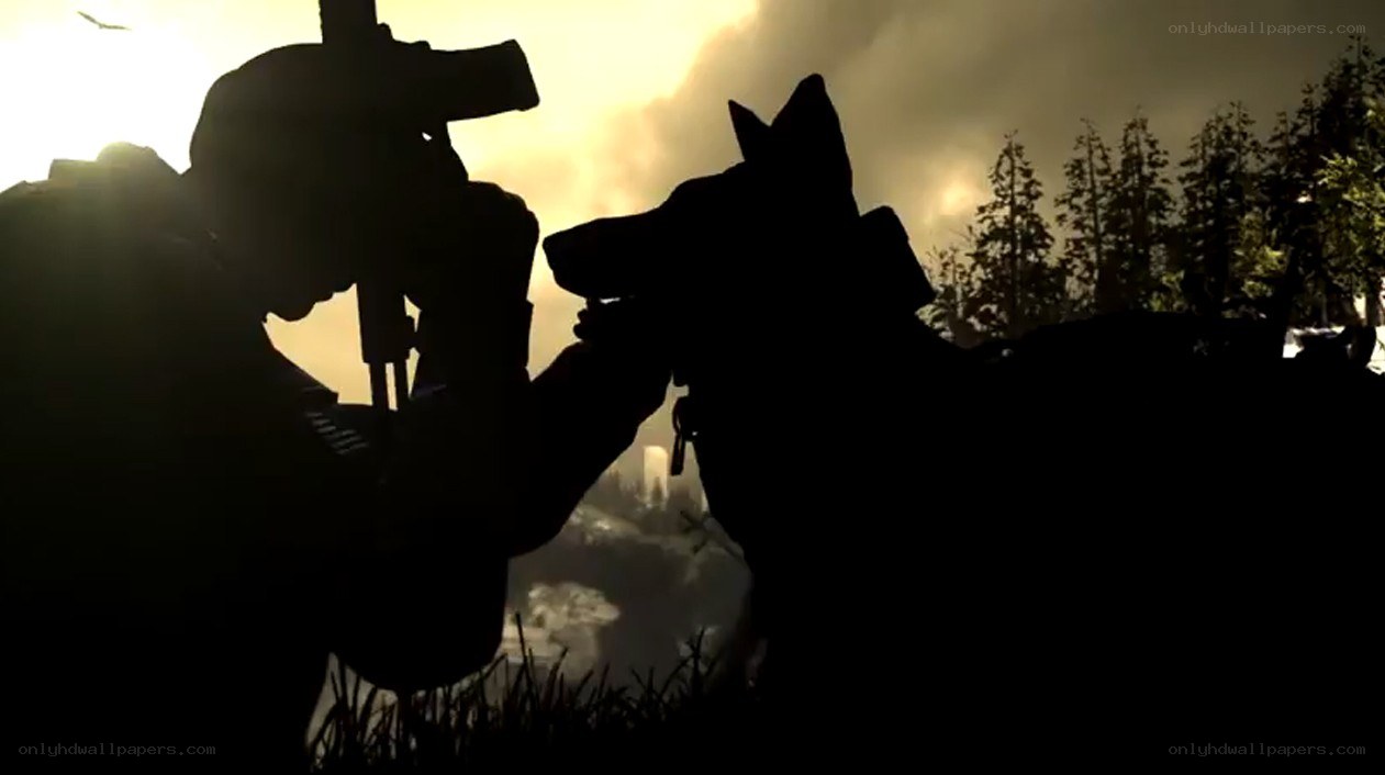 soldier with military dog