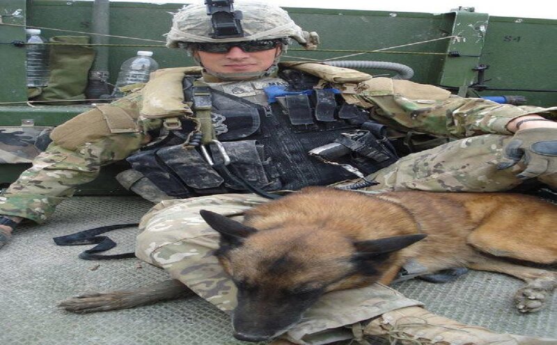 Soldier with Military Dog — Camouflage