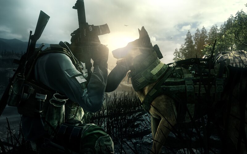 Soldier with Military Dog — Green, Dramatic, Sunset