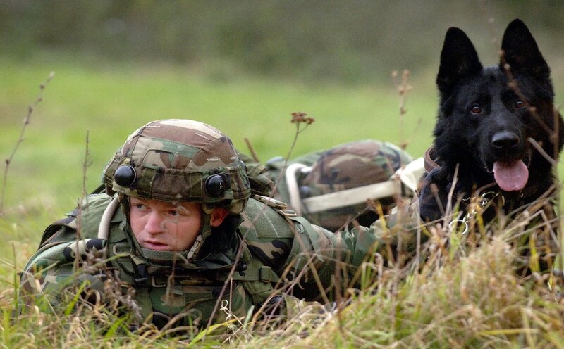 Soldier with Military Dog — Green