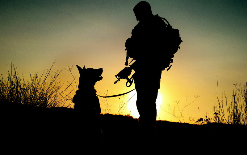 Soldier with Military Dog — Yellow