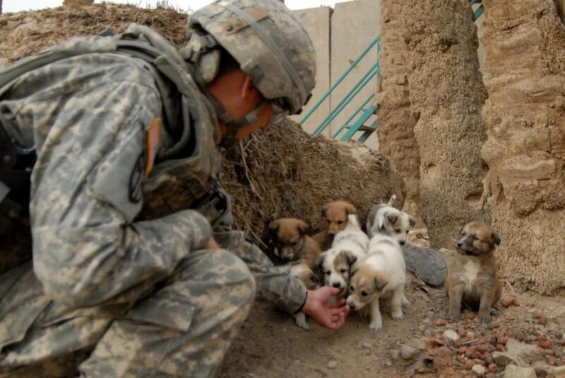 Soldier with Puppies