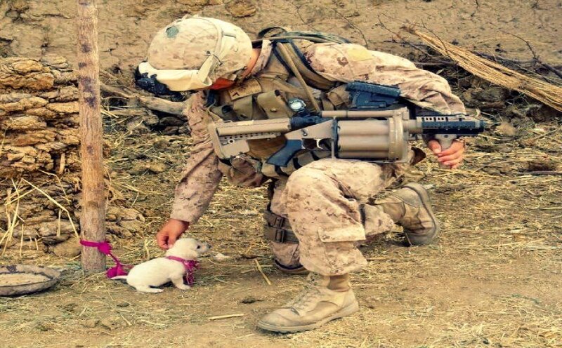 Soldier with Puppy