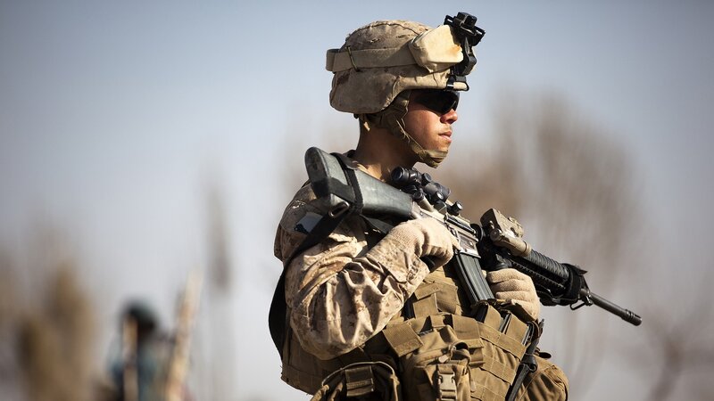 Soldier with Rifle — Brown, Alert, Afternoon