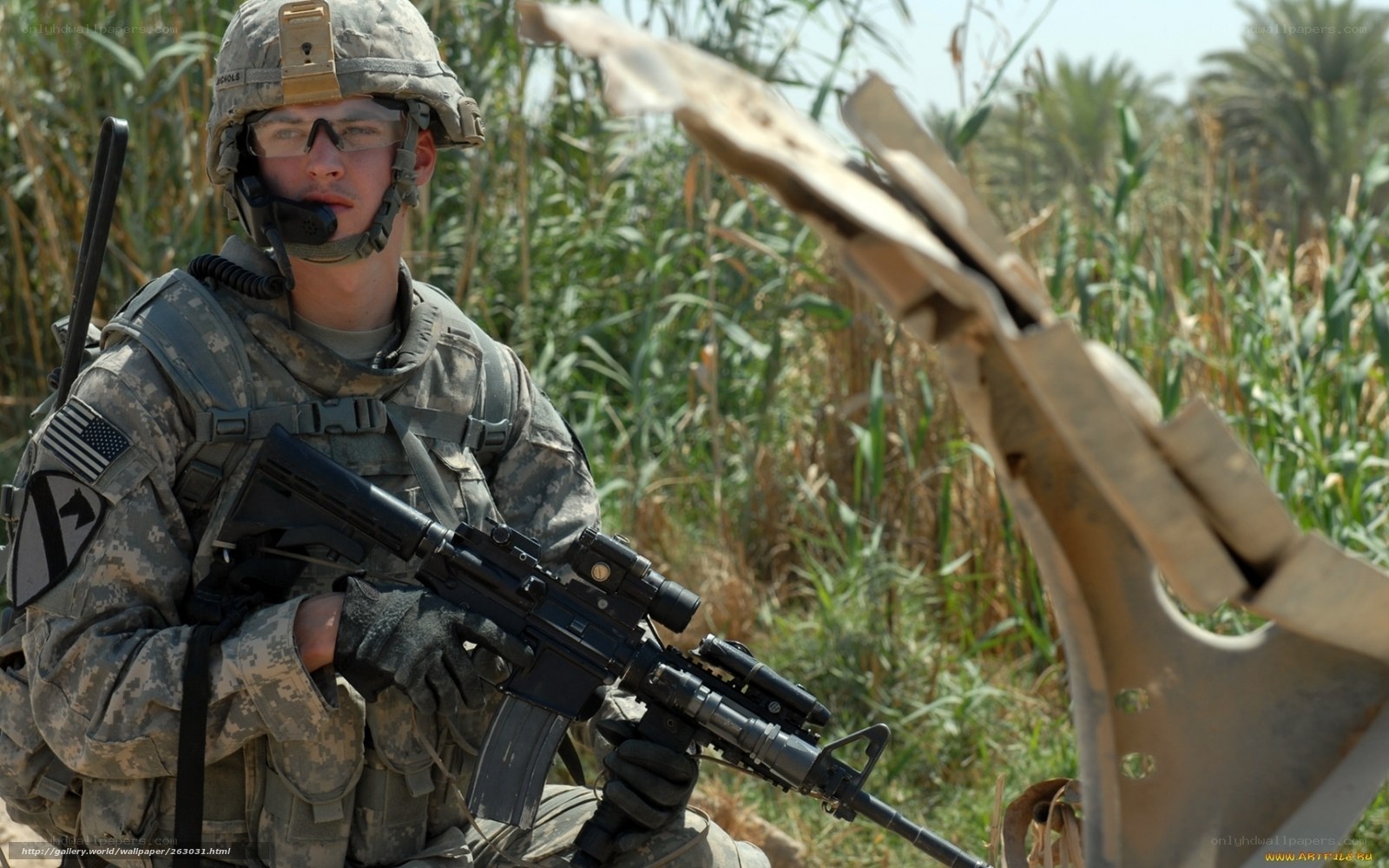 soldier with rifle in field