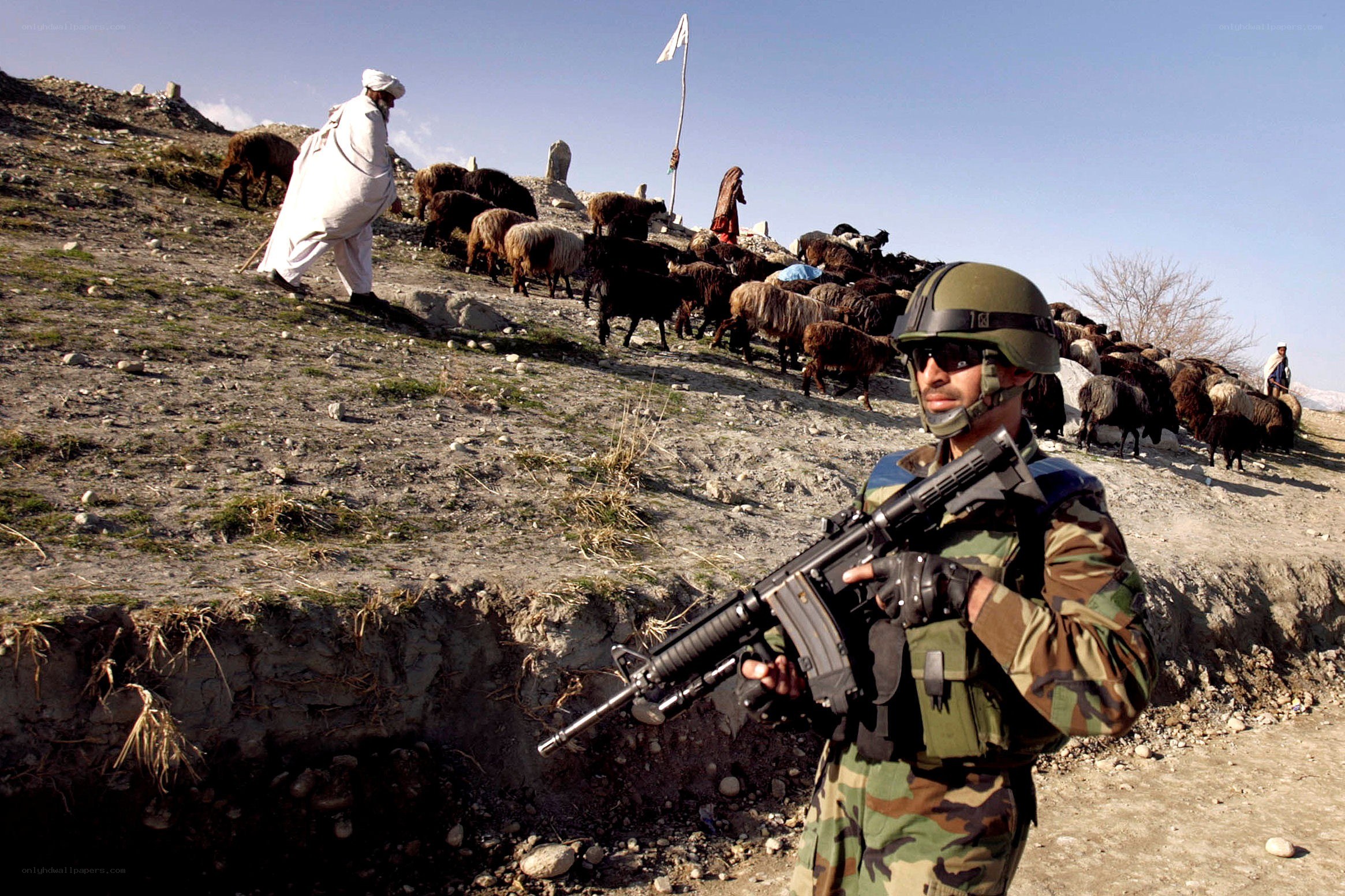 Soldier with sheep herder on hillside