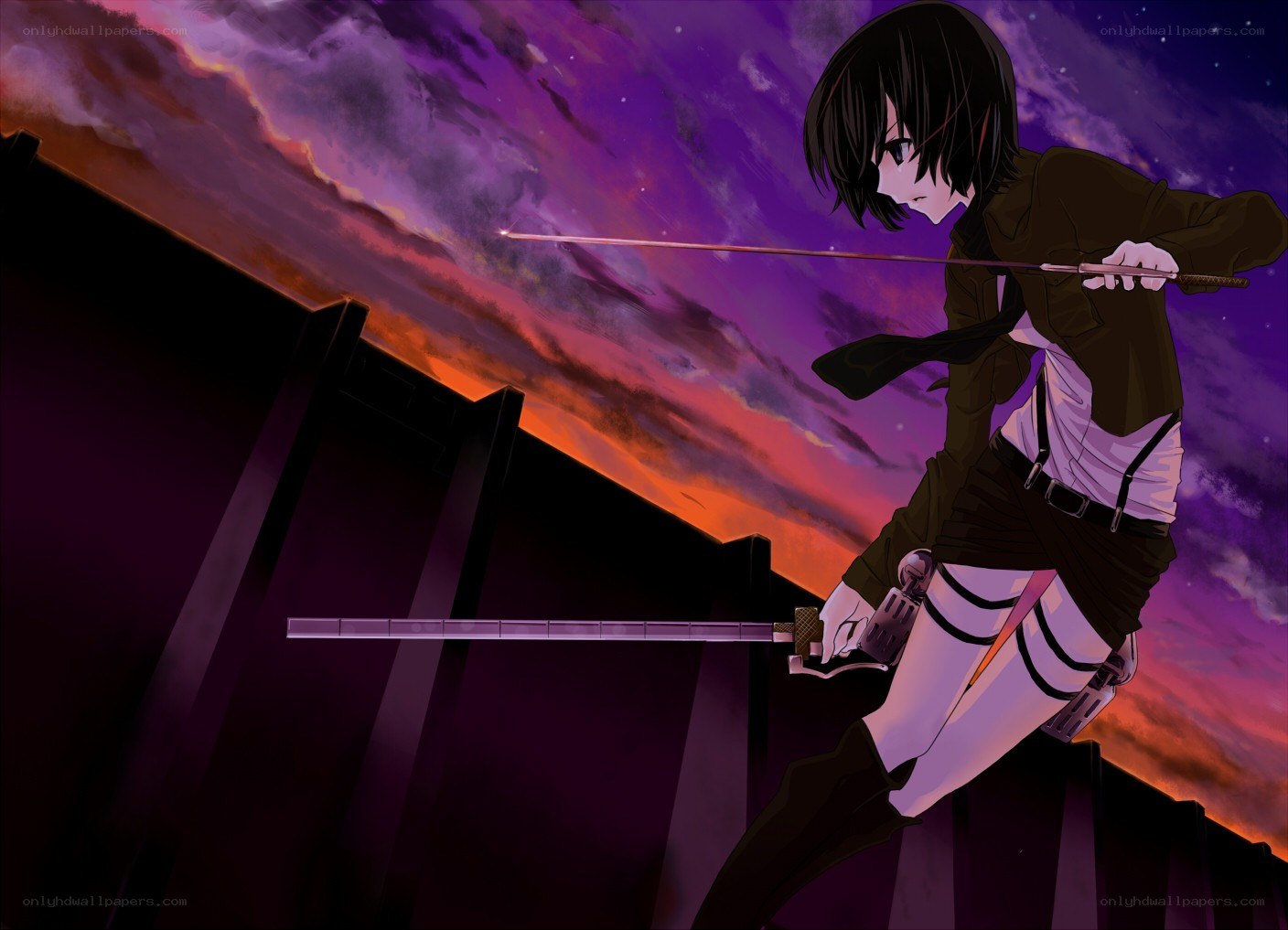 soldier with sword at sunset