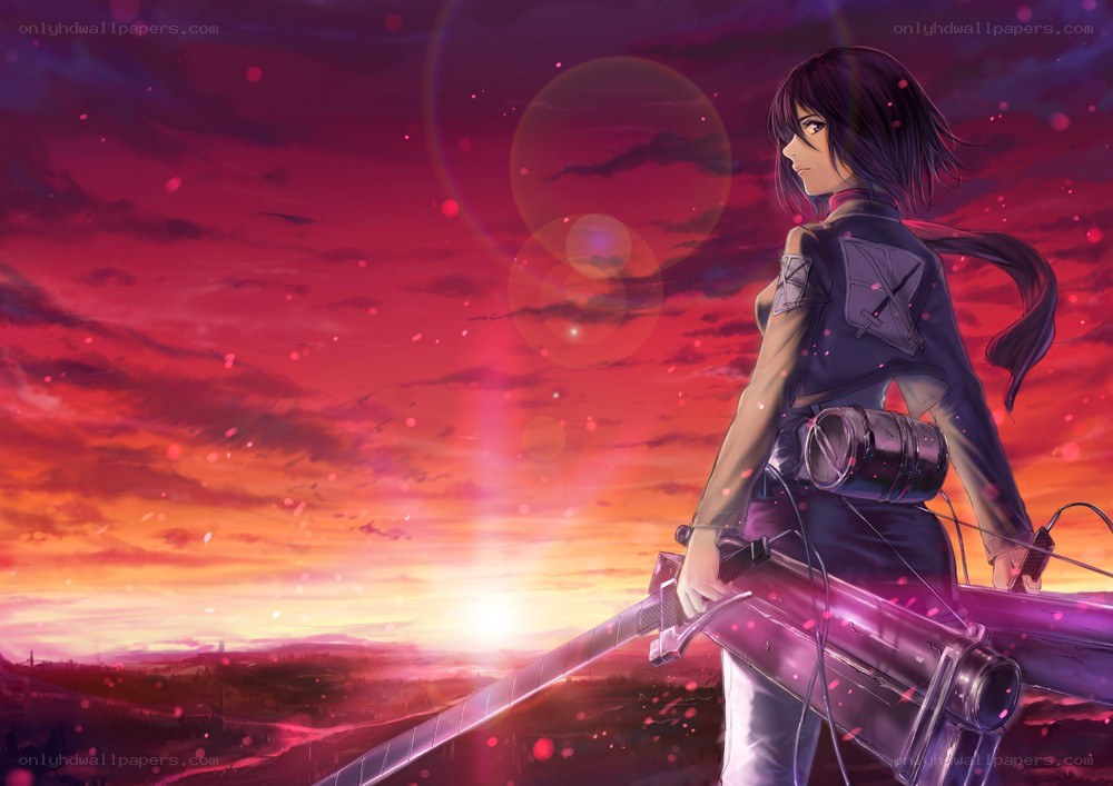 soldier with sword at sunset