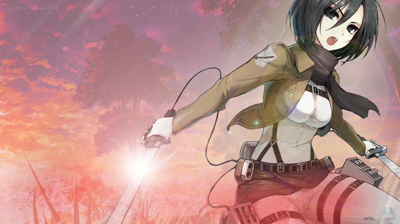 soldier with swords at sunset