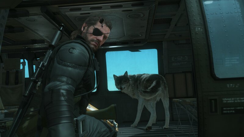 Soldier with Wolf — Gray, Serious