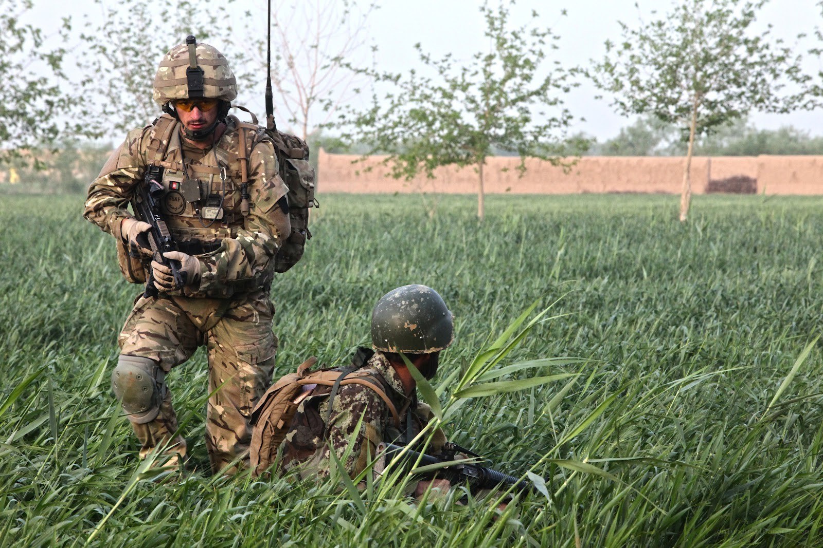 Soldiers in a field