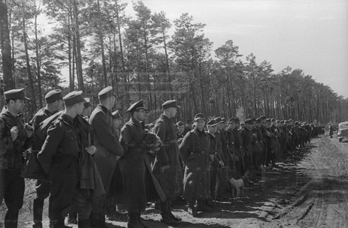 Soldiers in a forest line