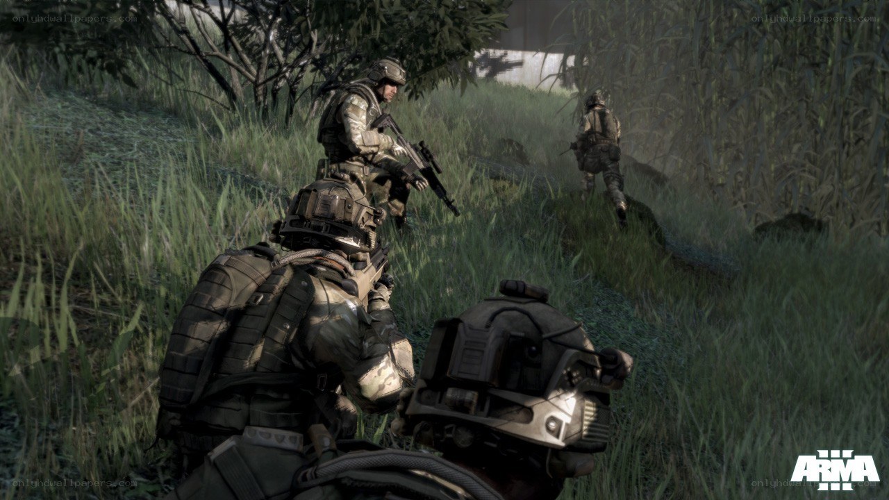 Soldiers in a grassy field