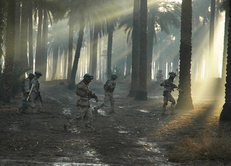 Soldiers in a palm grove
