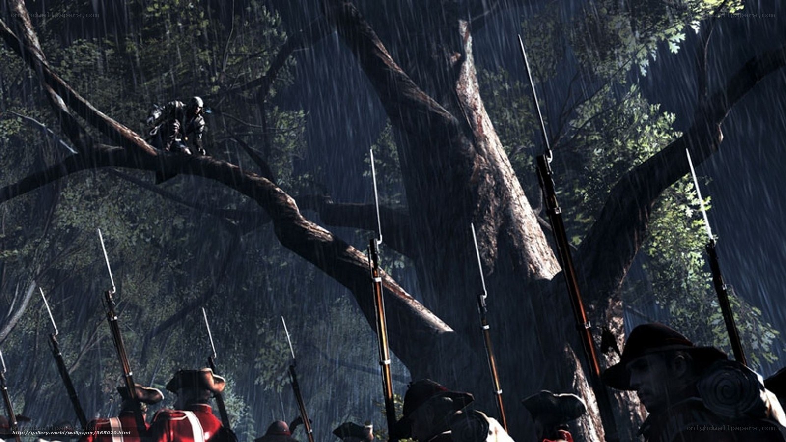 Soldiers in a Rainy Forest