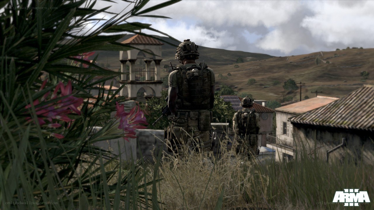Soldiers in a village