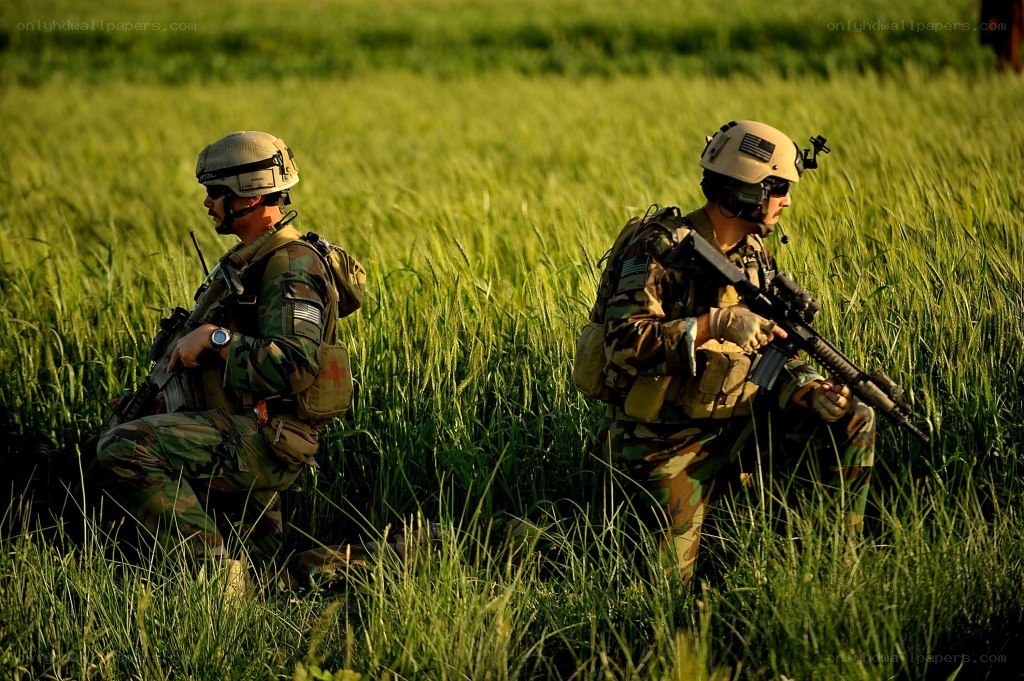 Soldiers in a wheat field