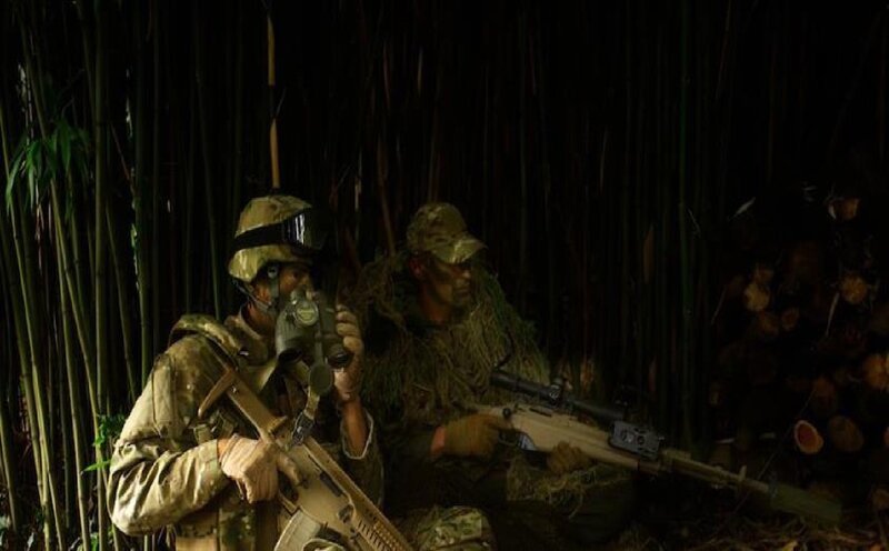 Soldiers in Bamboo Forest