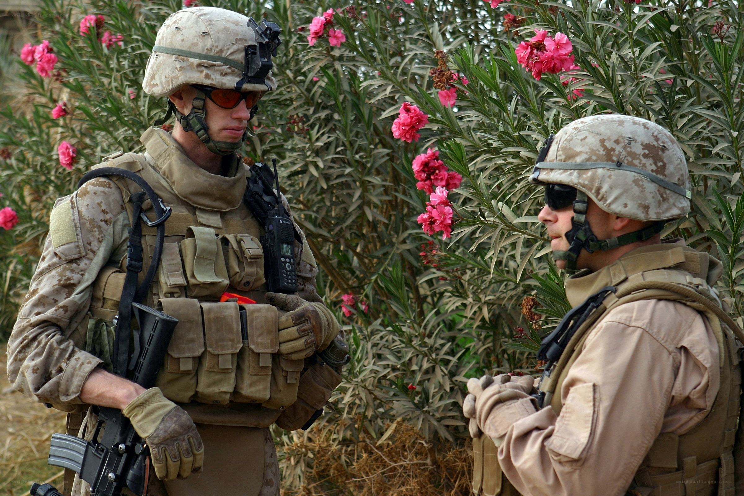 Soldiers in combat gear