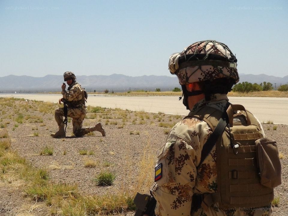 Soldiers in desert training
