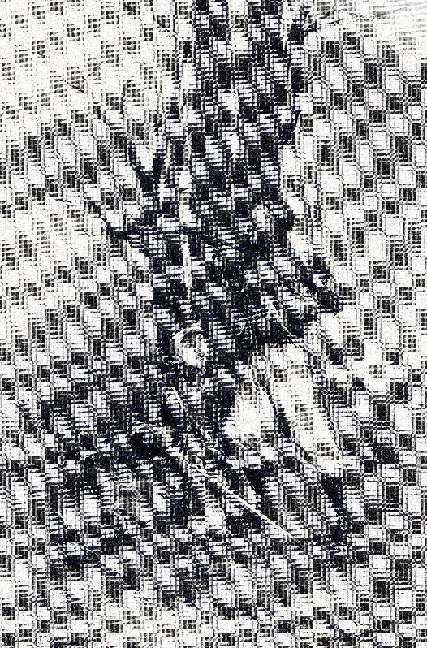 Soldiers in forest combat