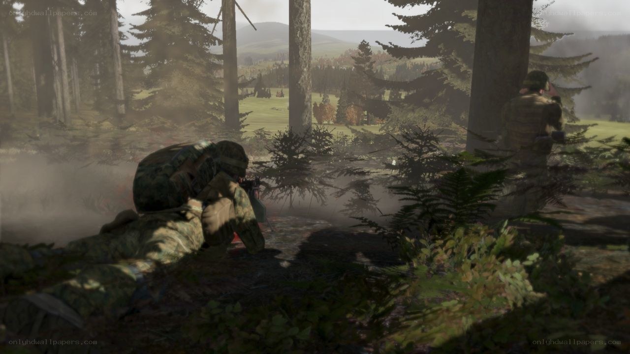 Soldiers in forest combat