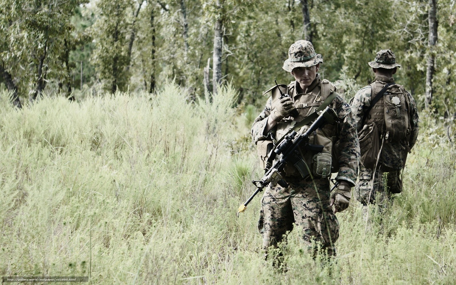 Soldiers in forest patrol