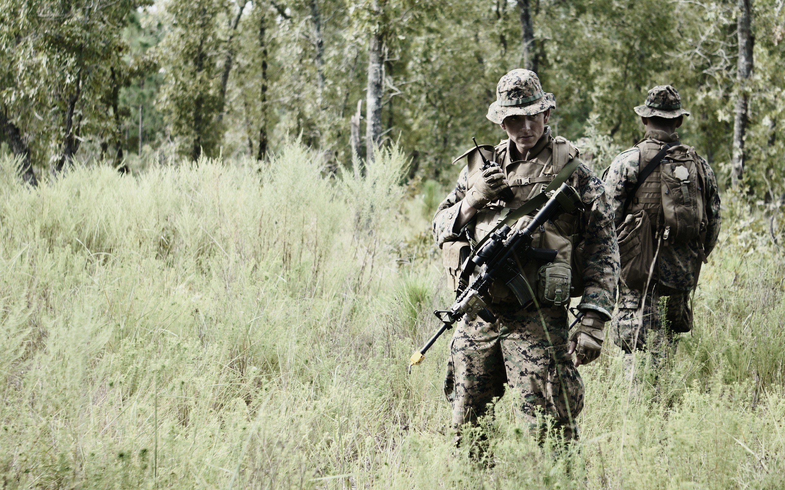 Soldiers in forest terrain