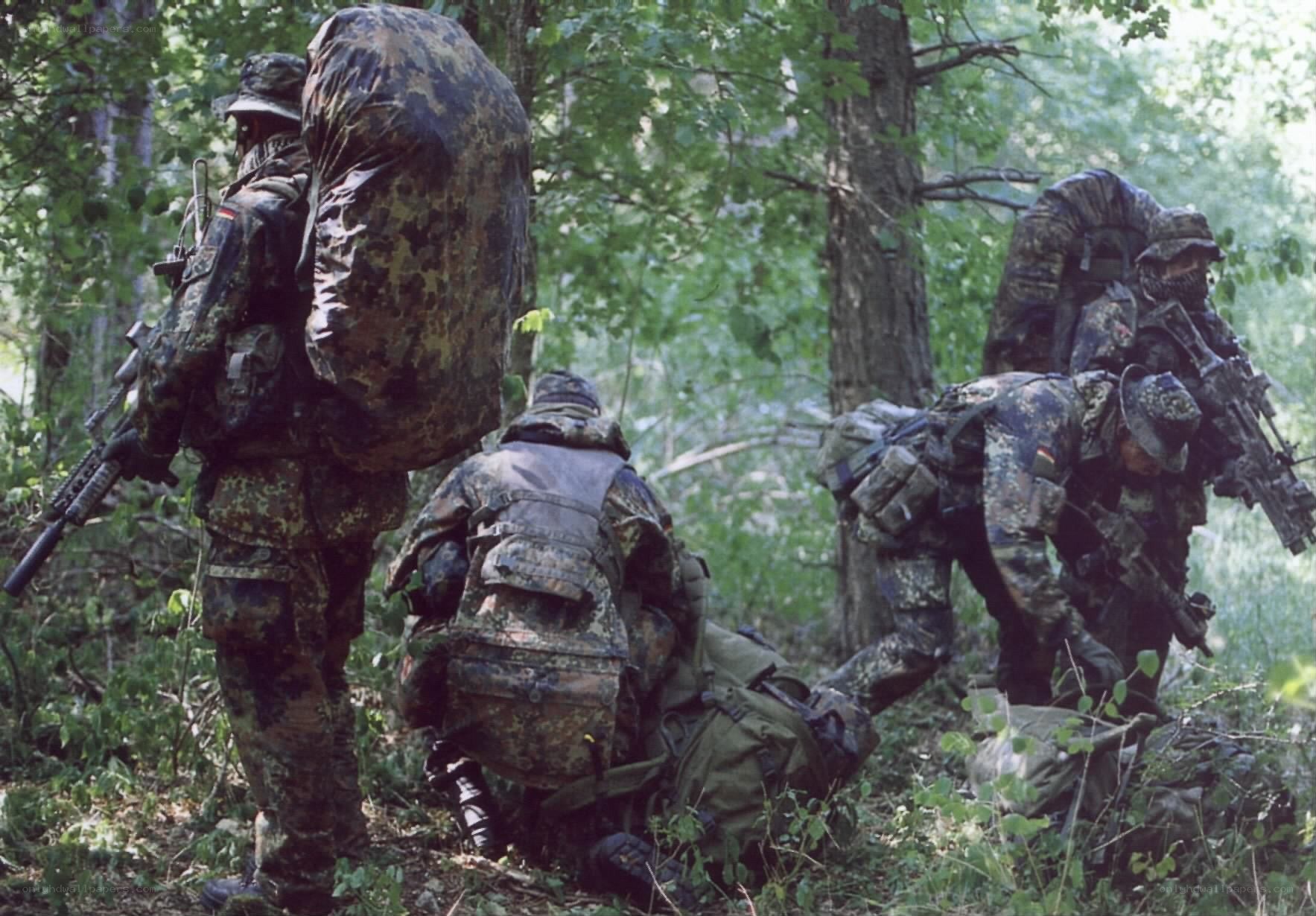 Soldiers in forest terrain