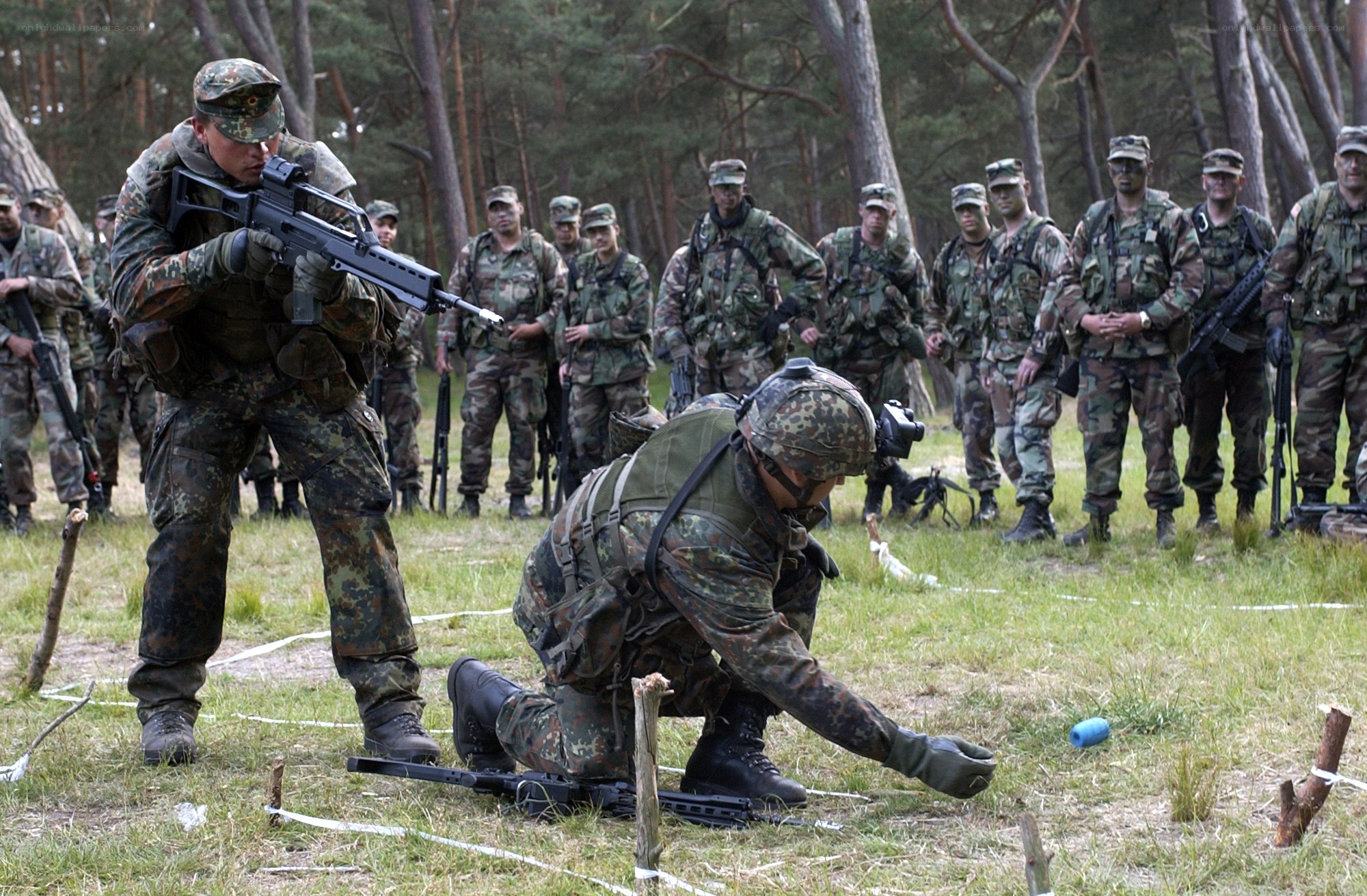 Soldiers in forest training